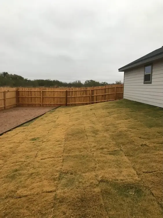 New sod install in the back of the house