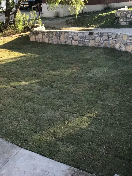 New sod installation in front yard