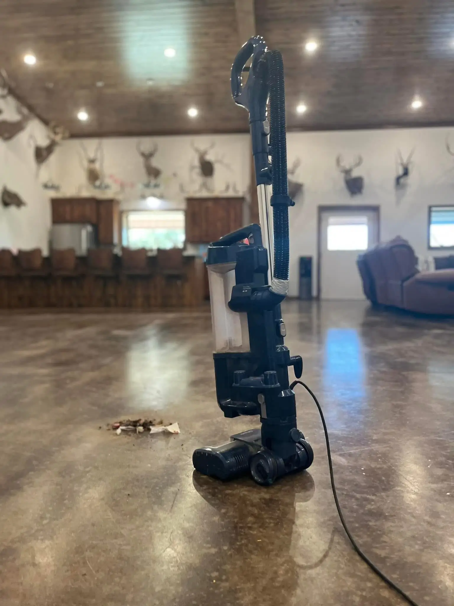 vacuuming the living area